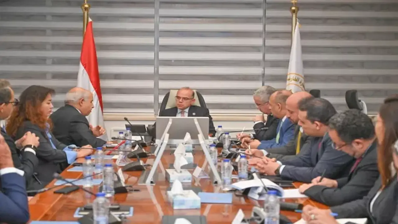 مصر تدرس إنشاء مجمع صناعي لإطارات السيارات باستثمارات 2 مليار دولار